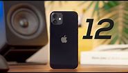 Review iPhone 12 Indonesia - Calon paling LARIS.