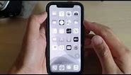 iPhone 11 Pro: How to Enable / Disable Grayscale Color | iOS 13