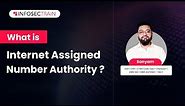 What is Internet Assigned Number Authority? | InfosecTrain