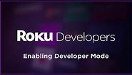 Getting Started with Roku Channel Development: Enabling Developer Mode