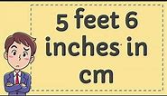 5 Feet 6 Inches in CM