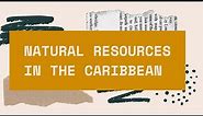CSEC Principles of Business (P 2) - Natural Resources in the Caribbean & their Industries