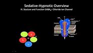 The GABA receptor | How does it work?