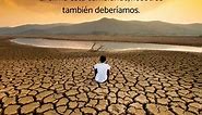 60 FRASES del CAMBIO CLIMÁTICO - ¡Para reflexionar!