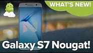 Samsung Galaxy S7 Nougat Update: Best Features!