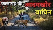 The Horrifying Tale of a Man Eating Tiger and the Cursed Village of Kalagadh । Facts Phylum