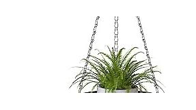 Venkuber Plant Hanger, Hanging Plant Shelf for Window, Planter Flower Pots Holder with Ceiling Hook for Indoor Outdoor