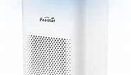 Desktop Air Purifier with HEPA Filter for Office Bedroom Bathroom, Small USB Air Purifiers for Pollutants, Dust, Odor, Super Quiet Powered by USB No Adapter (White)