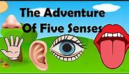 Knowledge for kids | Our Five Senses | STEM Science