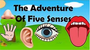 Knowledge for kids | Our Five Senses | STEM Science