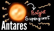 Antares a bright Supergiant! Here's everything you should know about the star.