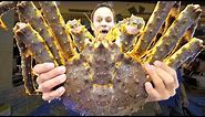 INSANE Chinese Seafood - $1500 Seafood FEAST in Guangzhou, China - 10 KG BIGGEST Lobster + KING Crab