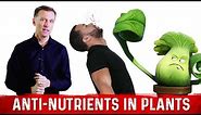 Plants Do Not Like to be Eaten: Thus the Anti Nutrients – Dr.Berg On Phytoestrogens & Phytic Acid