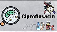 Ciprofloxacin - Uses, Mechanism Of Action, Pharmacology, Adverse Effects, And Contraindications