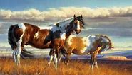 native american indian spirit horses