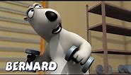 Bernard Bear | Weight Lifting AND MORE | Cartoons for Children | Full Episodes