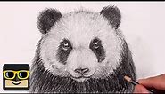 How To Draw a Panda | Sketch Tutorial