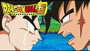 Bardock Meets Goku's Family For The First Time