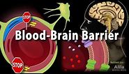 Blood Brain Barrier, Animation