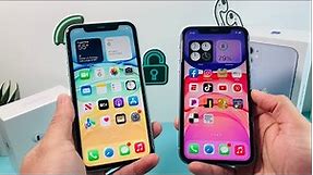 iPhone 11 Green vs Purple Color Comparison