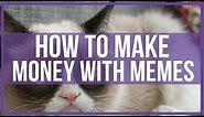 How to Make Money with Memes - Funny To Money