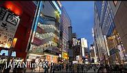4K・ Japan - Night videowalk in Akihabara, Tokyo・4K