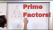 Prime Factorization - 5th Grade Math - Finding Factors of a Number (Factoring) - Math Homework Help!