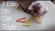 3 Easy DIY Cat Toys!