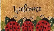 Rugsmith Red Handloom Woven & Printed Ladybug Coir Doormat, 18" x 30"