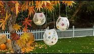 Brandi Milloy - DIY Hanging Foliage Lanterns - Home & Family
