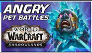 ANGRY Pet Battle PvP! World of Warcraft Shadowlands Competitive WoW Battle Pet Guide!