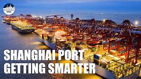 Shanghai Port: How automated is it to handle 143,000 TEUs per day?