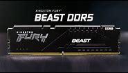 DDR5 Memory with speeds up to 5200MHz – Kingston FURY Beast DDR5