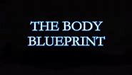 The Body Blueprint