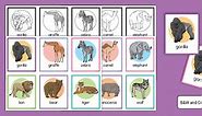 Zoo Animal Matching Game