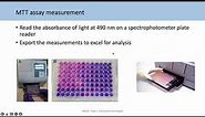 BE553 -Topic 2 Tutorial 2: Analysing viability assays and IC50s