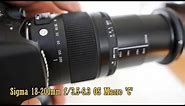 Sigma 18-200mm f/3.5-6.3 OS Macro 'C' lens review (with samples)