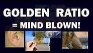 Golden Ratio = Mind Blown!