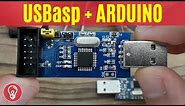 How to Use USBasp Programmer with Arduino Boards