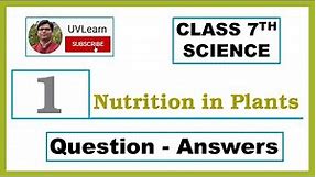 Class 7th Science Chapter 1: Nutrition in Plants - Question-Answers (English Medium)
