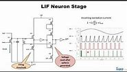 Memristor-based Deep Spiking Neural Network with a Computing-In-Memory Architecture