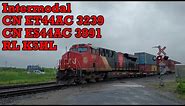 7/6/23 Double CN 100! CN ET44AC 3239 & DPU ES44AC 3891 lead Intermodal Train Q102