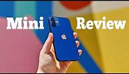 iPhone 12 Mini review: Too small?