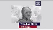Know Your Meme 101: NPC Wojak
