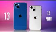 Review: Apple iPhone 13 & iPhone 13 Mini (Deutsch) | SwagTab