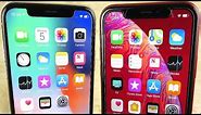 Should You Buy iPhone X or iPhone XR?