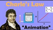 CHARLES' LAW | Animation