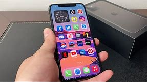iPhone 11 Pro Home Button Enable / Trick!