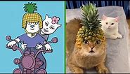 Drawing Meme cats #12 | 🏍cat and his wife with a pineapple helmet | Cat Memes funny | meme cat