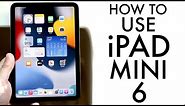 How To Use Your iPad Mini 6! (Complete Beginners Guide)